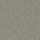 Grey Shimmer (2024)